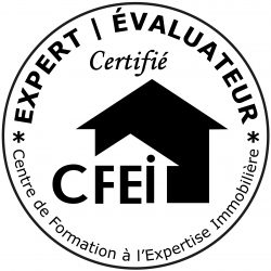 expert immobilier certifié - logo CFEI