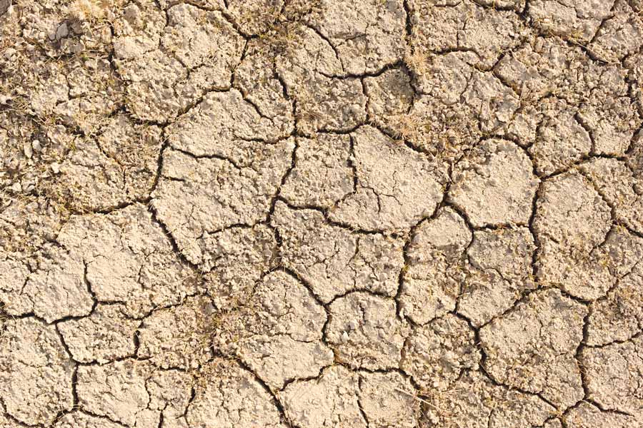 sécheresse - catastrophe naturelle - sinistre habitation - fissures maison - expert en bâtiment - assurance - déclaration catastrophe naturelle sécheresse
