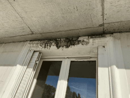 Expertise structurelle - Paris