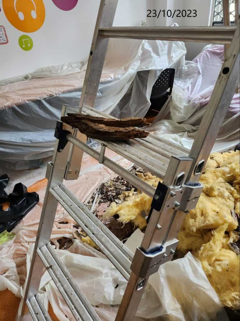 Suite à un violent dégât des eaux - expert en pathologie du bâtiment