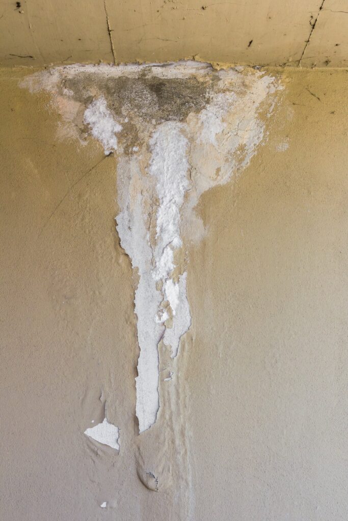 Comment savoir si un mur est sec après dégât des eaux ?