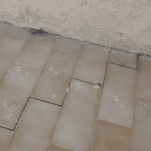 Fissures dues à la sécheresse