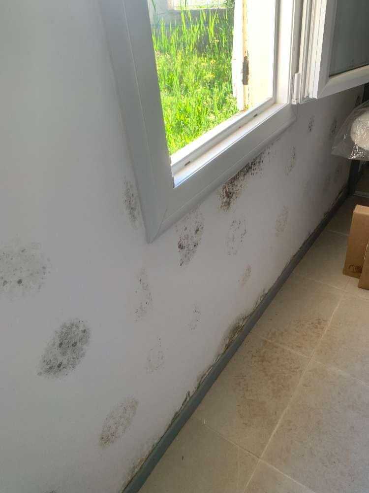 moisissures mur interieur localisees plots mortier adhesif map plaques platre