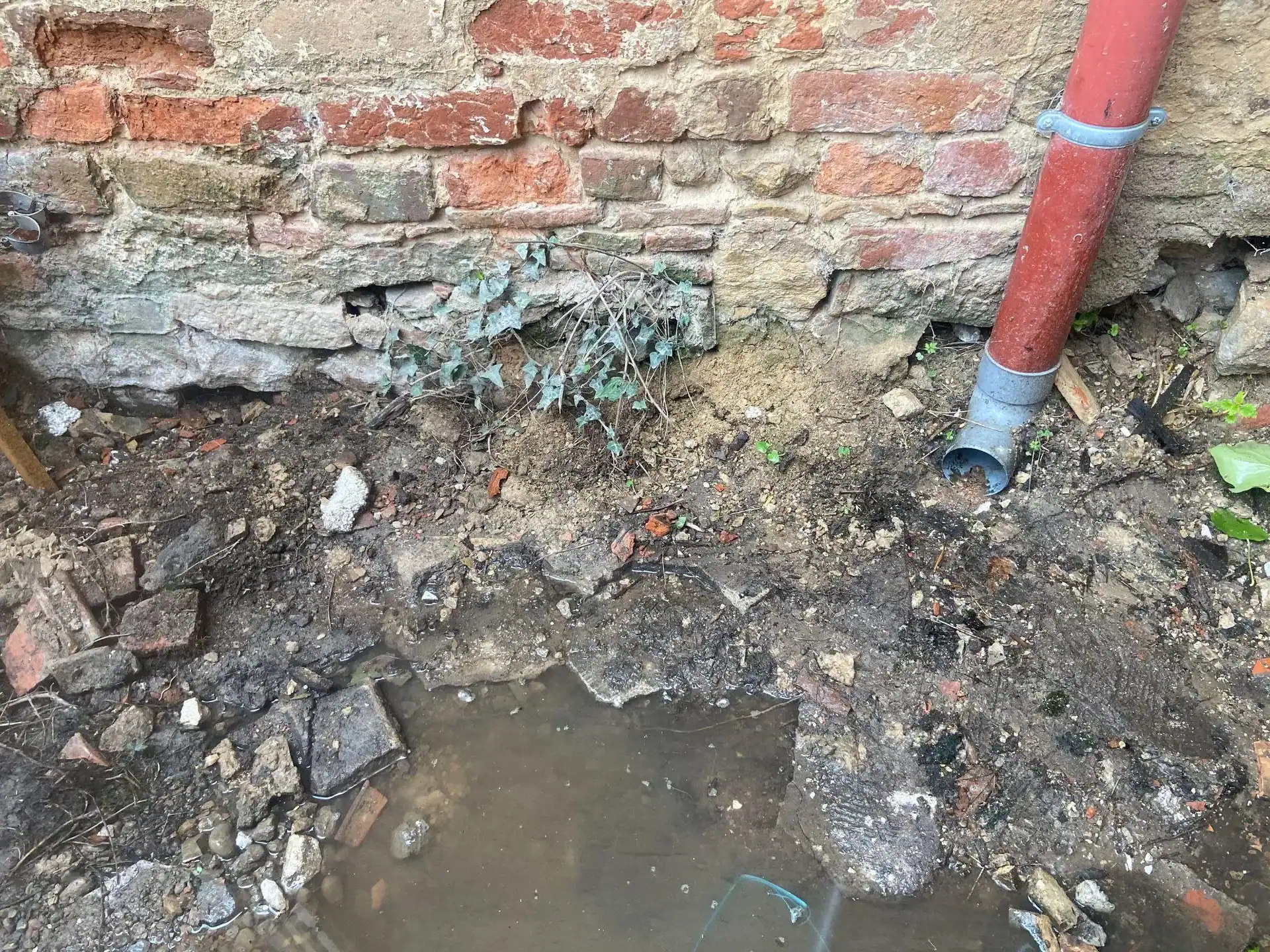 Eau stagnante au pied d'un mur en briques sous une descente pluviale, cause extérieure d'un dégât des eaux à constater.