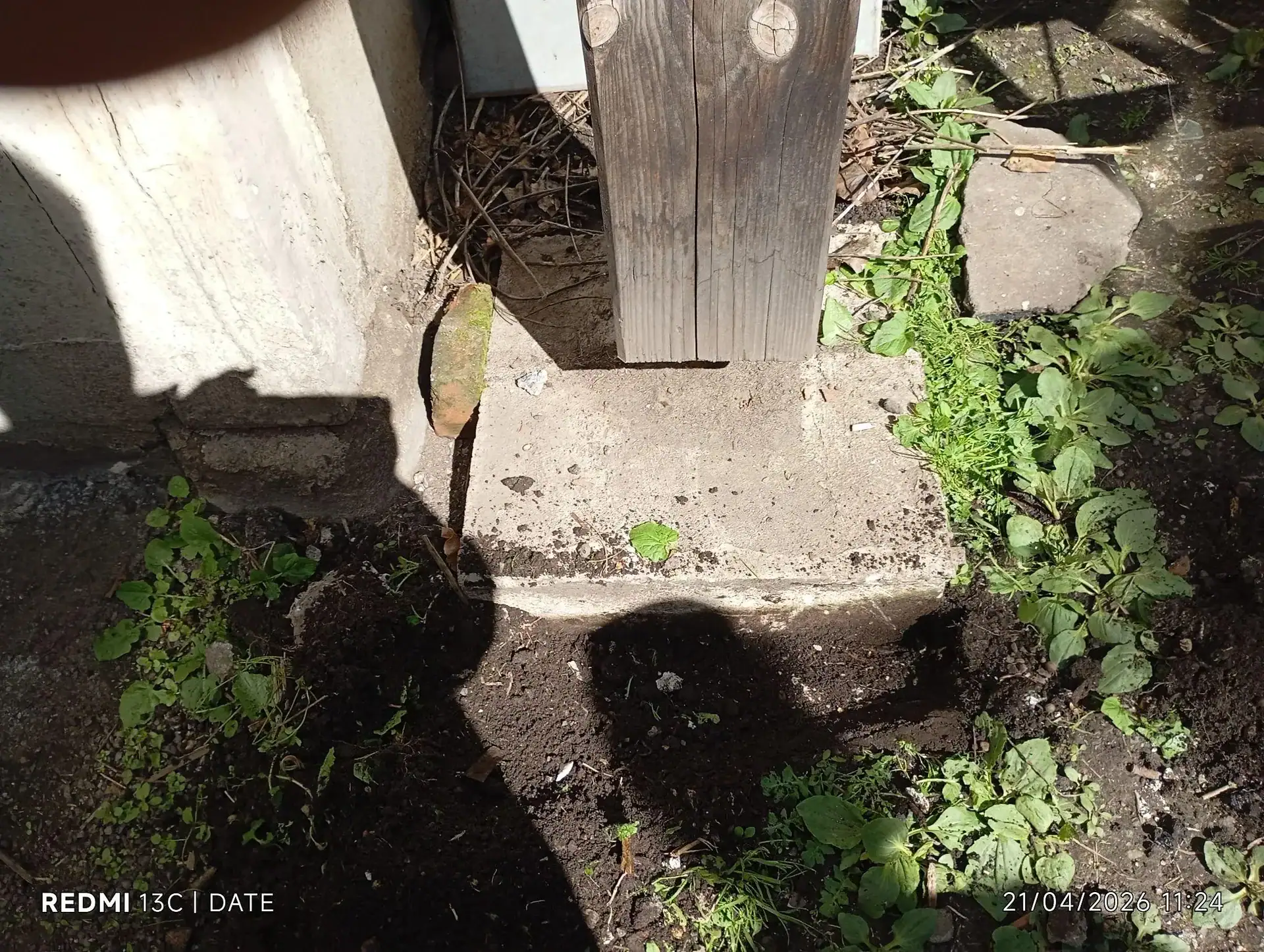 Pied de poteau bois pourri sur socle béton : l'expert constate, le bureau d'étude structure dimensionne le remplacement.